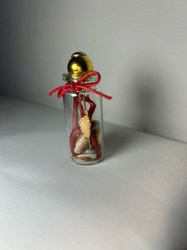 Fiole porte-bonheur avec corail, œil de Saint Lucie et petite Corse en plaqué or ~6cm